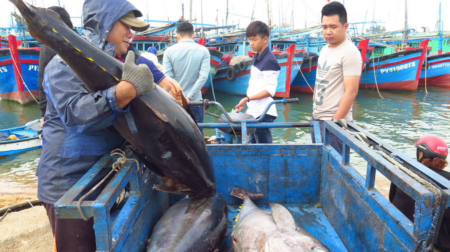 Phú Yên Thi đua phát triển kinh tế
