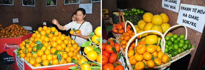 Giới thiệu không gian văn hóa, du lịch và thương mại Hà Giang tại Hà Nội