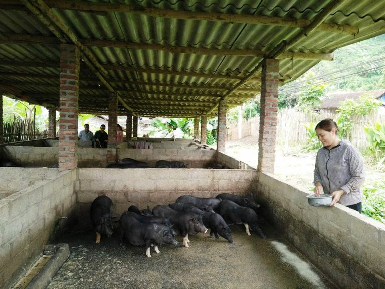 Tín dụng chính sách xã hội thúc đẩy xây dựng nông thôn mới tại các địa phương