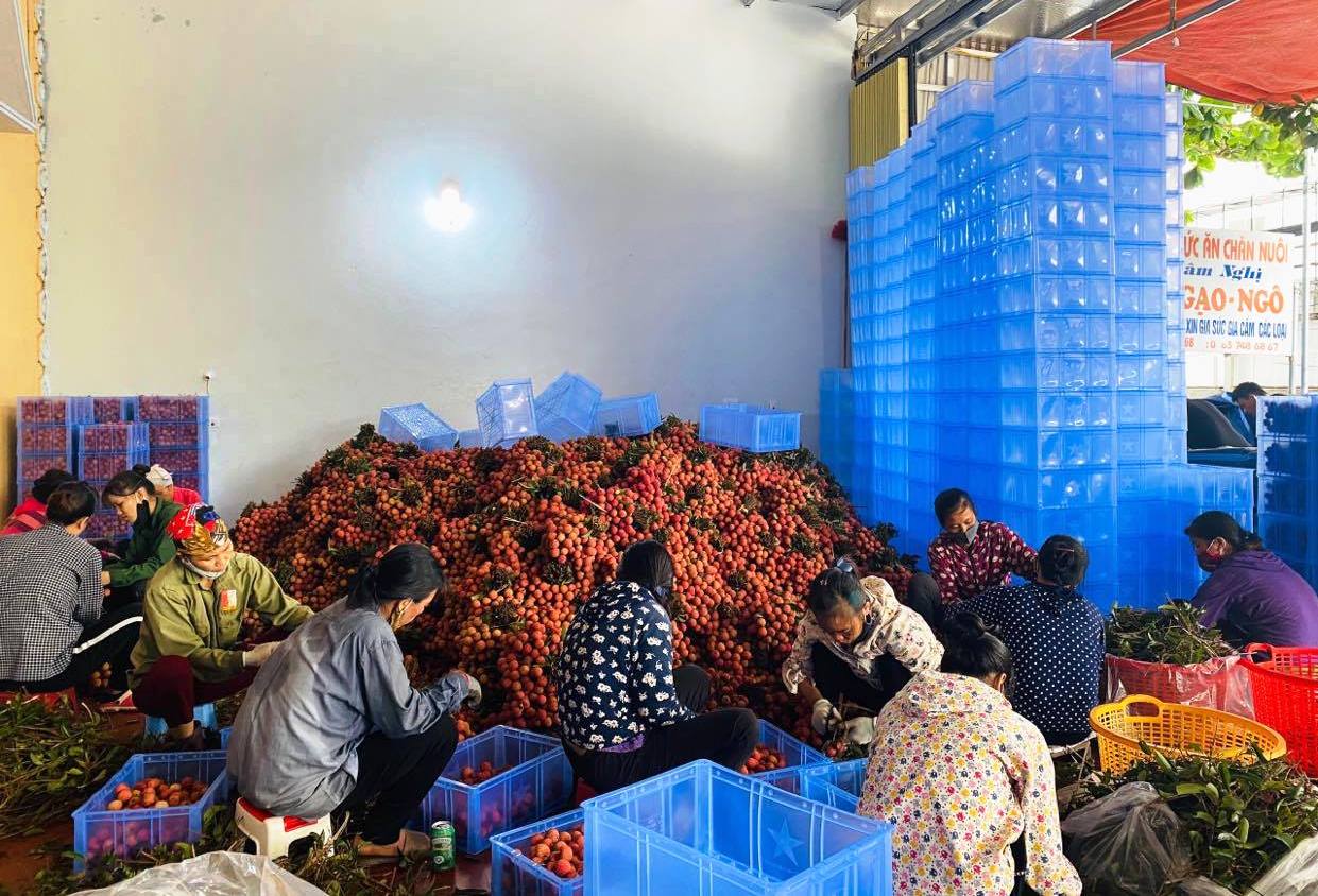 Nỗ lực thúc đẩy giá trị xuất khẩu nông lâm thủy sản