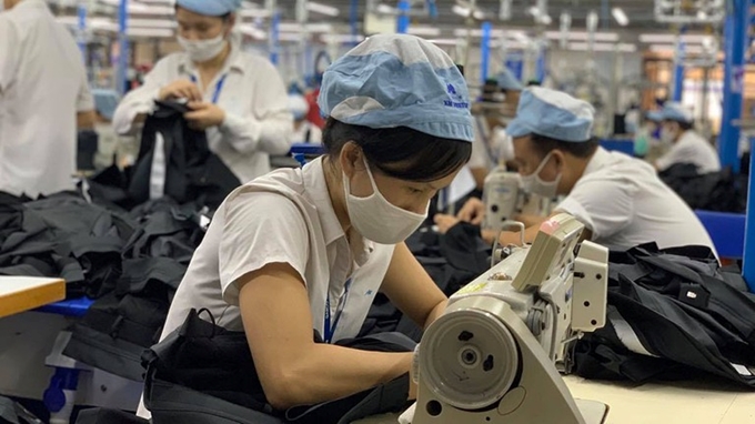 Việt Nam – Ấn Độ thúc đẩy hợp tác trong lĩnh vực dệt may