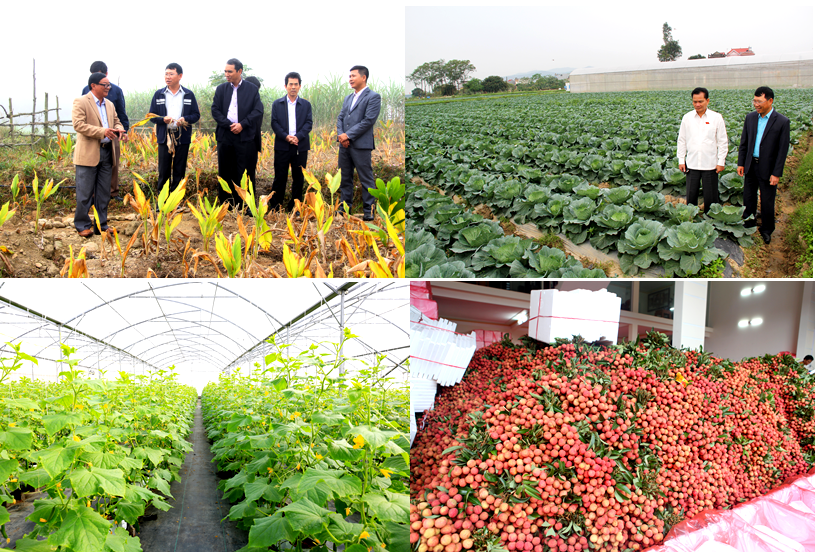 Bắc Giang GRDP cả năm đứng đầu cả nước, tạo đà phát triển bứt phá cho cả nhiệm kỳ