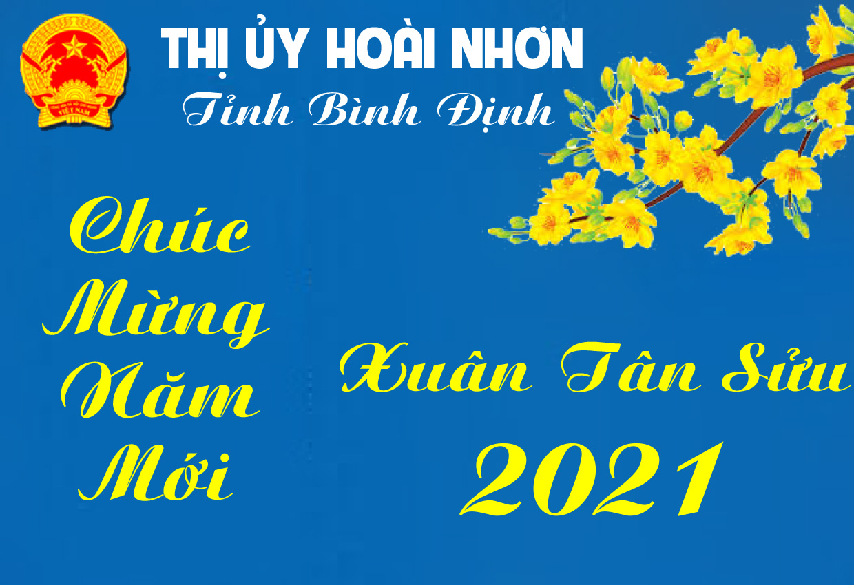 Thị xã Hoài Nhơn Tạo nền tảng cho những bước tiến nhanh, tiến xa hơn trong chặng đường mới