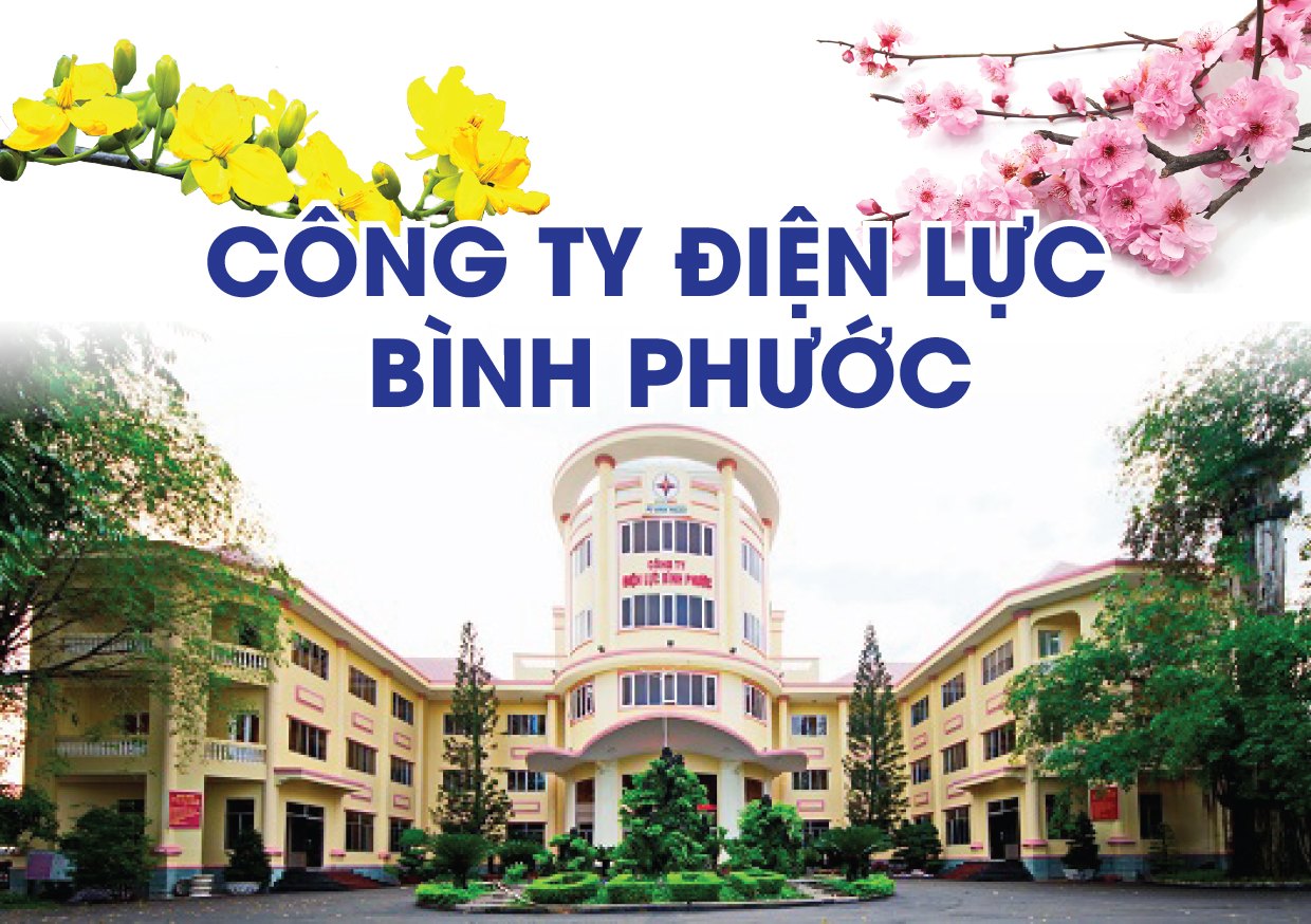Công ty Điện lực Bình Phước Tạo động lực thúc đẩy phát triển kinh tế - xã hội địa phương