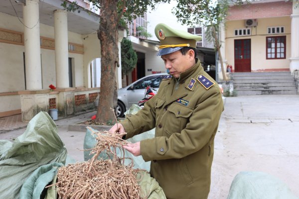 Lạng Sơn Thu giữ gần 1 tấn nguyên liệu thuốc Bắc nhập lậu