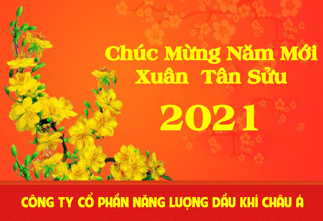 Hiệp hội điện gió và mặt trời tỉnh Bình Thuận Năng lượng tái tạo – Đòn bẩy hiện thực hóa chiến lược tăng trưởng kinh tế “xanh”