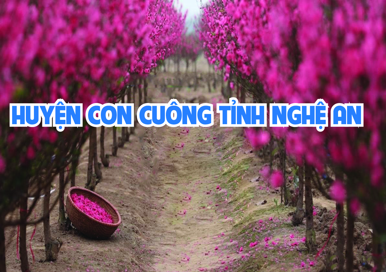 Chúc mừng năm mới Xuân Tân Sửu 2021