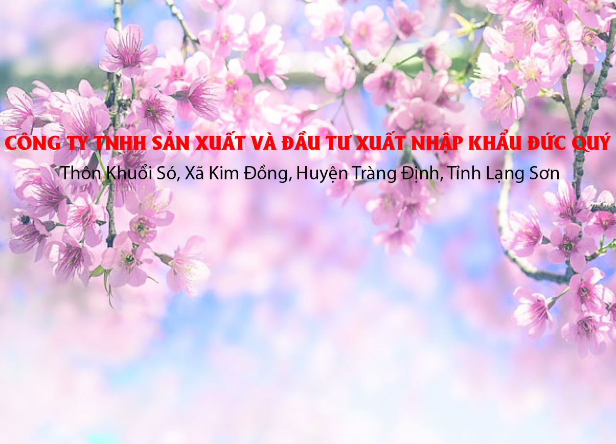 “Cầu nối” tiêu thụ cây thạch cho nông dân