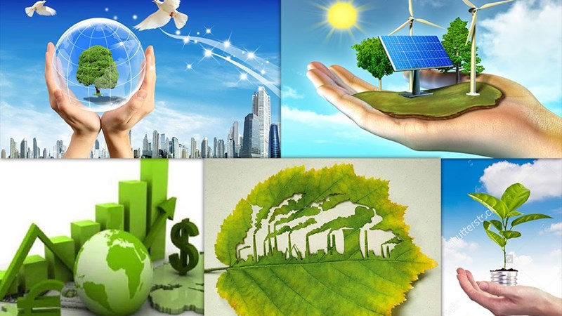 Chương trình hành động của Chính phủ tiếp tục ứng phó biến đổi khí hậu