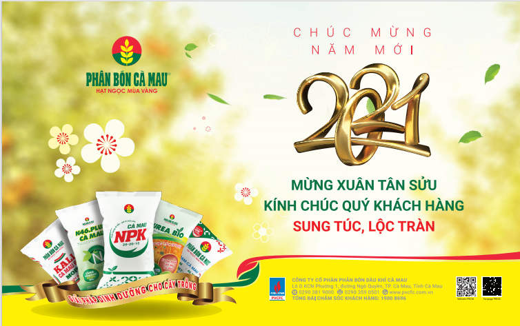Phân bón Cà Mau - Hạt ngọc mùa vàng