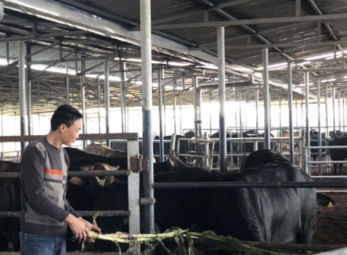 Hình thành thế hệ nông dân mới, giữ vững giá trị văn hóa tốt đẹp của dân tộc