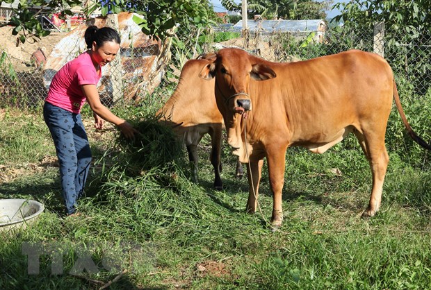 Quy định chuẩn nghèo đa chiều giai đoạn 2021-2025