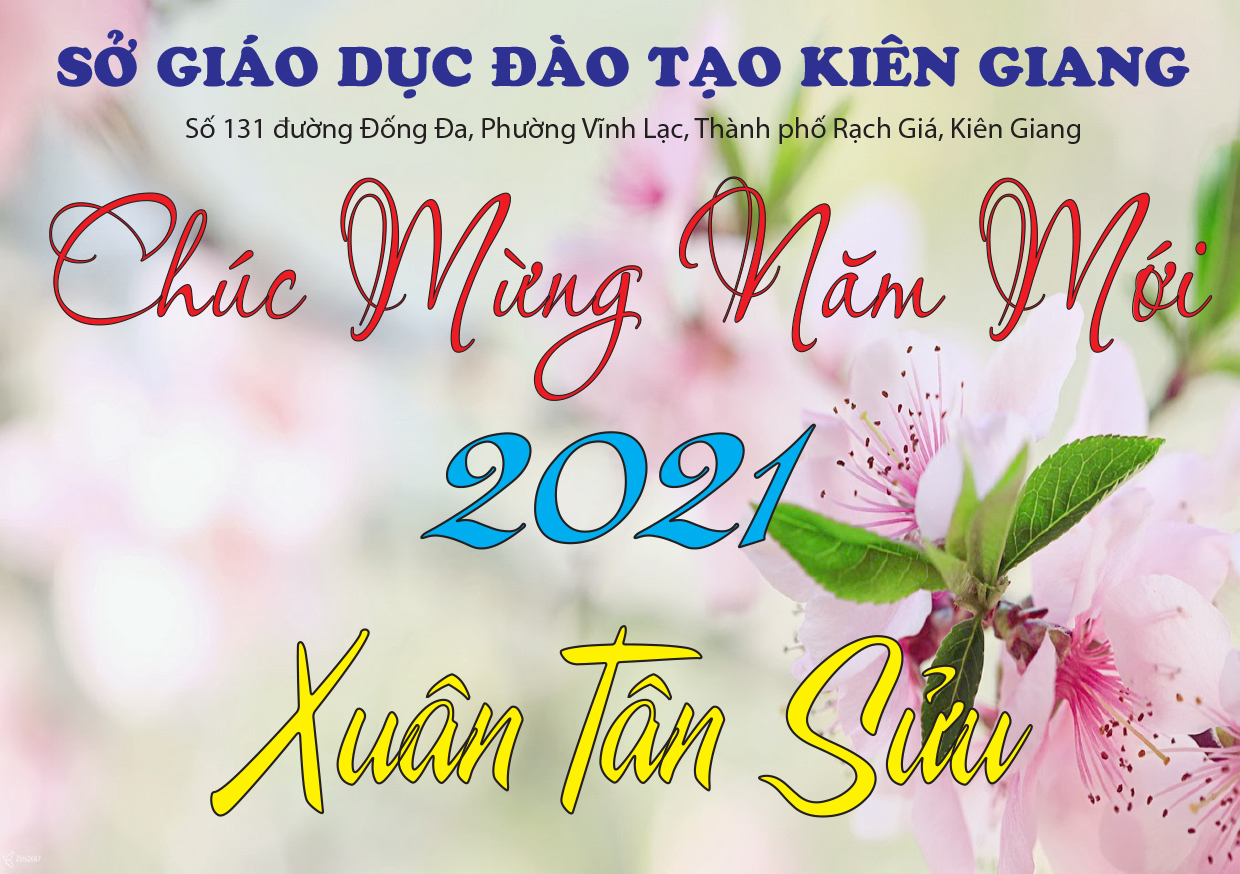 Tỉnh Kiên Giang Khẳng định vị thế trong nền giáo dục các tỉnh đồng bằng Sông Cửu Long