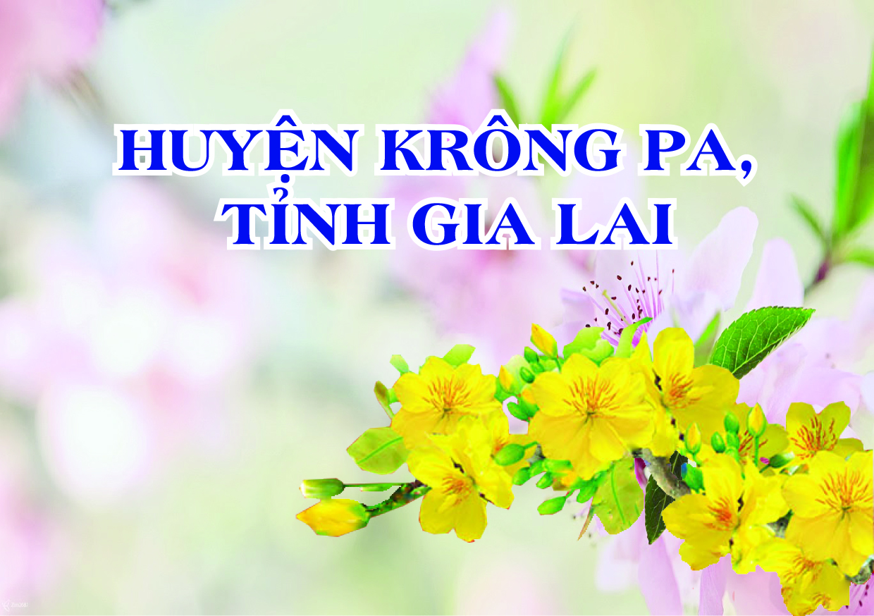 Huyện Krông Pa Gia Lai  Thực hiện tốt nhiệm vụ phát triển kinh tế - xã hội năm 2020