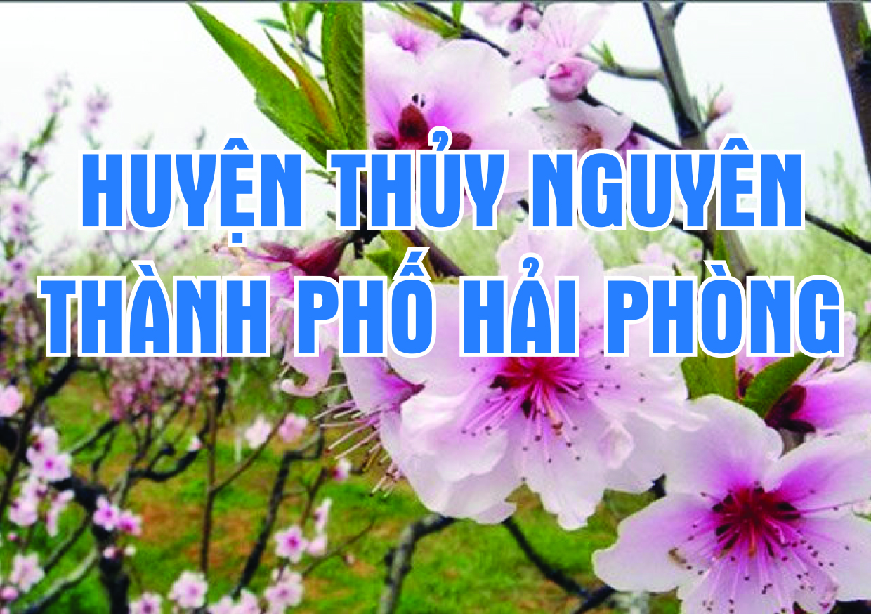 Huyện Thủy Nguyên Hải Phòng  Vững vàng nội lực, vươn tầm cao mới