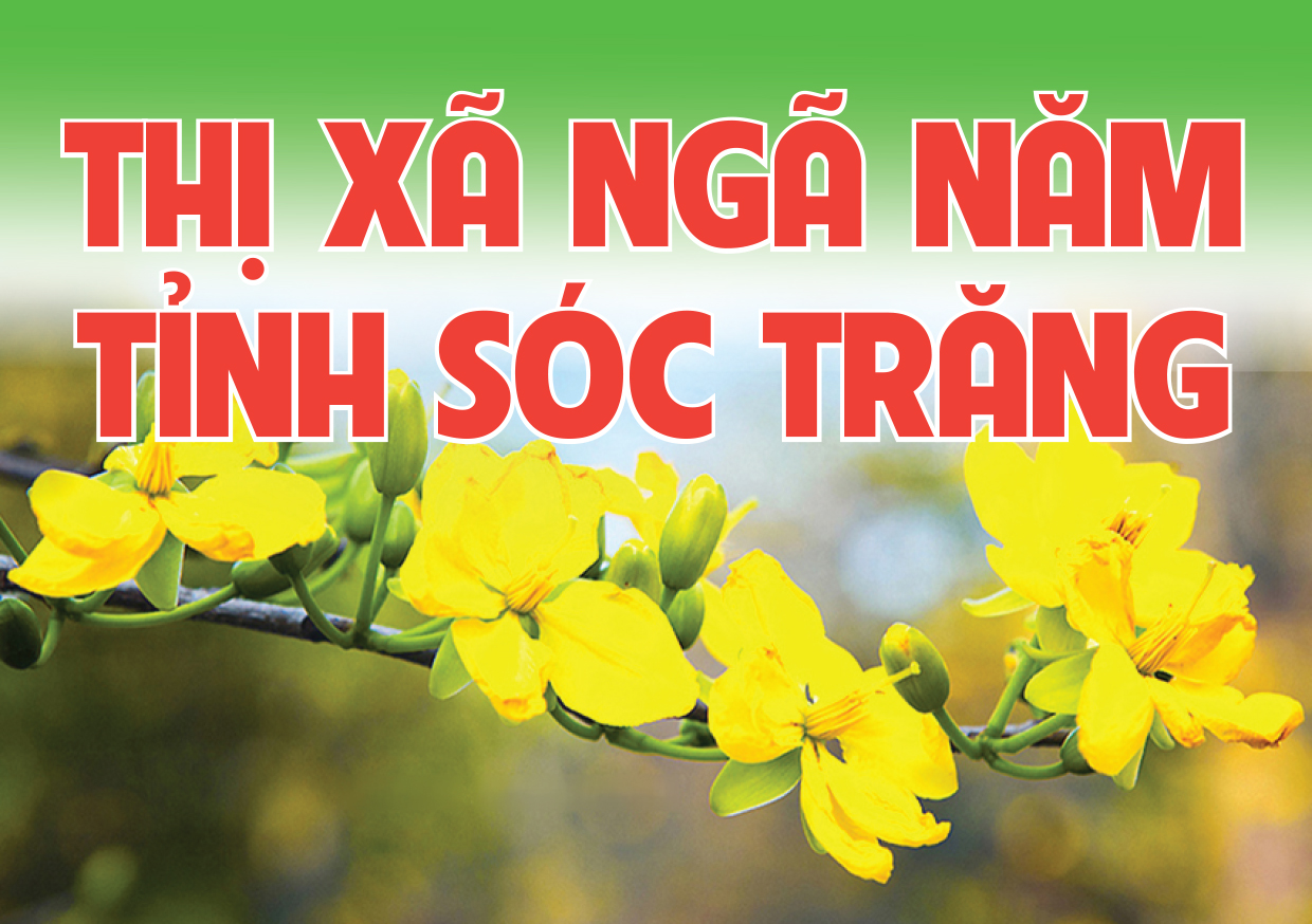Thị xã Ngã Năm Sóc Trăng  Từng bước phát triển và đạt tiêu chí đô thị loại III vào năm 2025