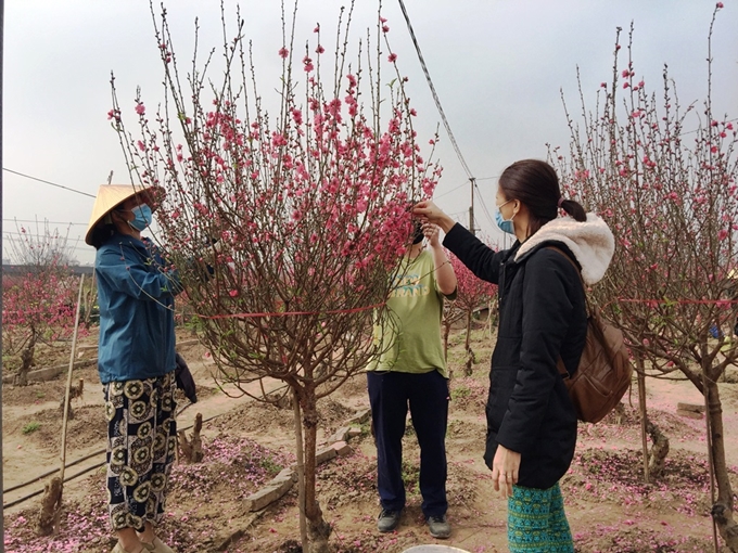 Bắc Bộ và Trung Bộ nắng ráo trở lại, vùng núi có nơi dưới 10 độ C