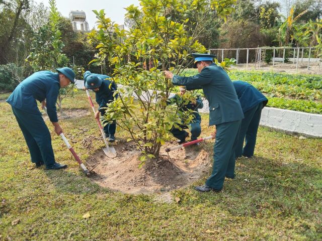 Sư đoàn 363 phấn đấu trồng cây trên toàn bộ diện tích đóng quân