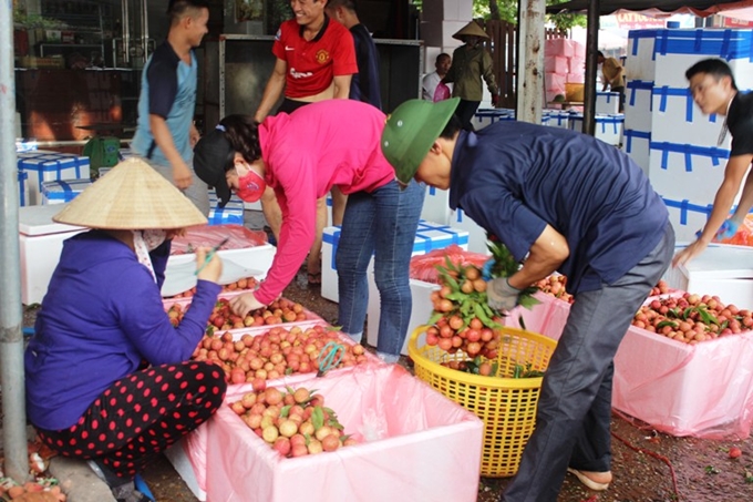 Phát triển đa dạng phương thức kinh doanh tiêu thụ nông sản theo chuỗi bền vững