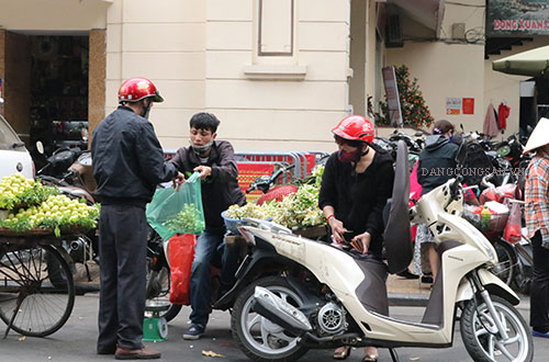 Hương bưởi đầu xuân