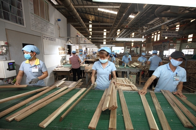 Giải pháp nào để đưa ngành gỗ Việt Nam vươn xa hơn