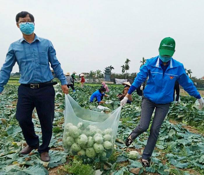 Hải Dương ưu tiên xét nghiệm COVID-19 cho nông dân, người thu mua nông sản