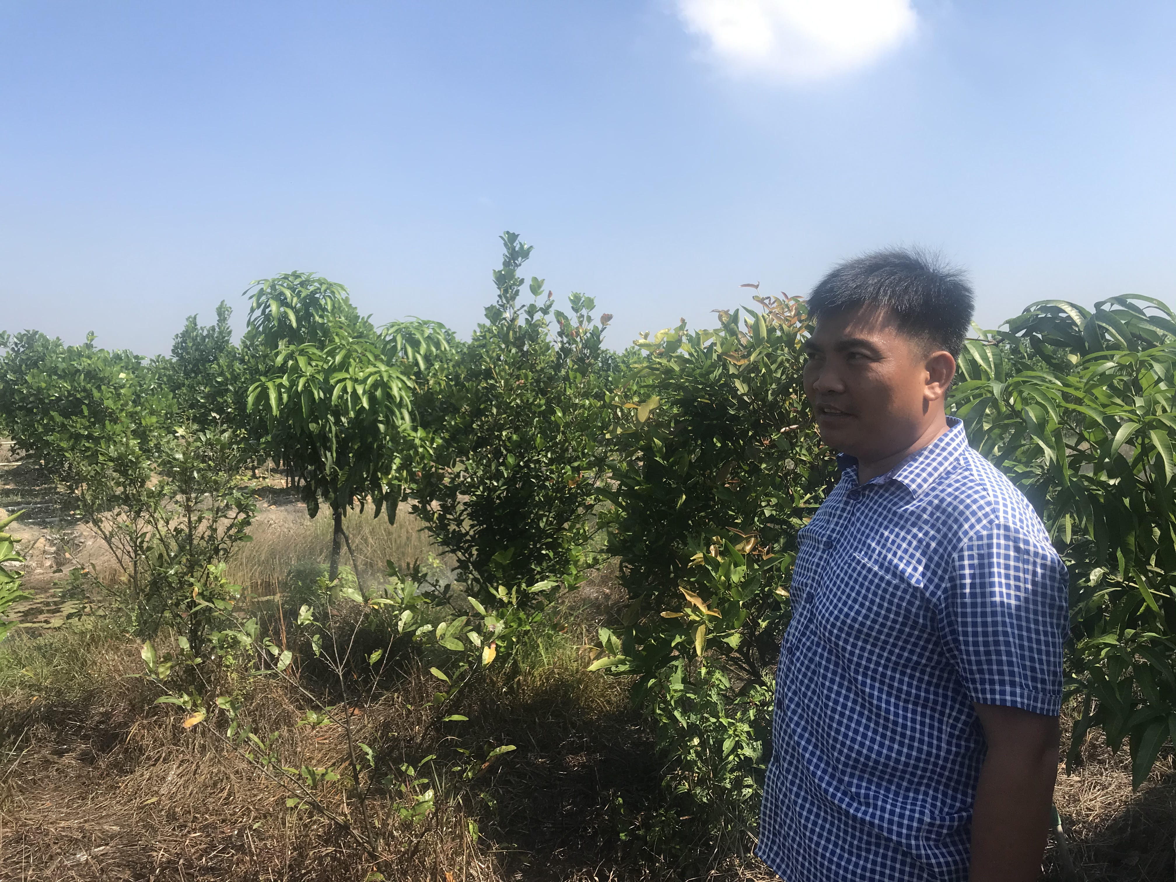 Cải tạo vùng đất nhiễm phèn, mặn để phát triển dịch vụ du lịch sinh thái