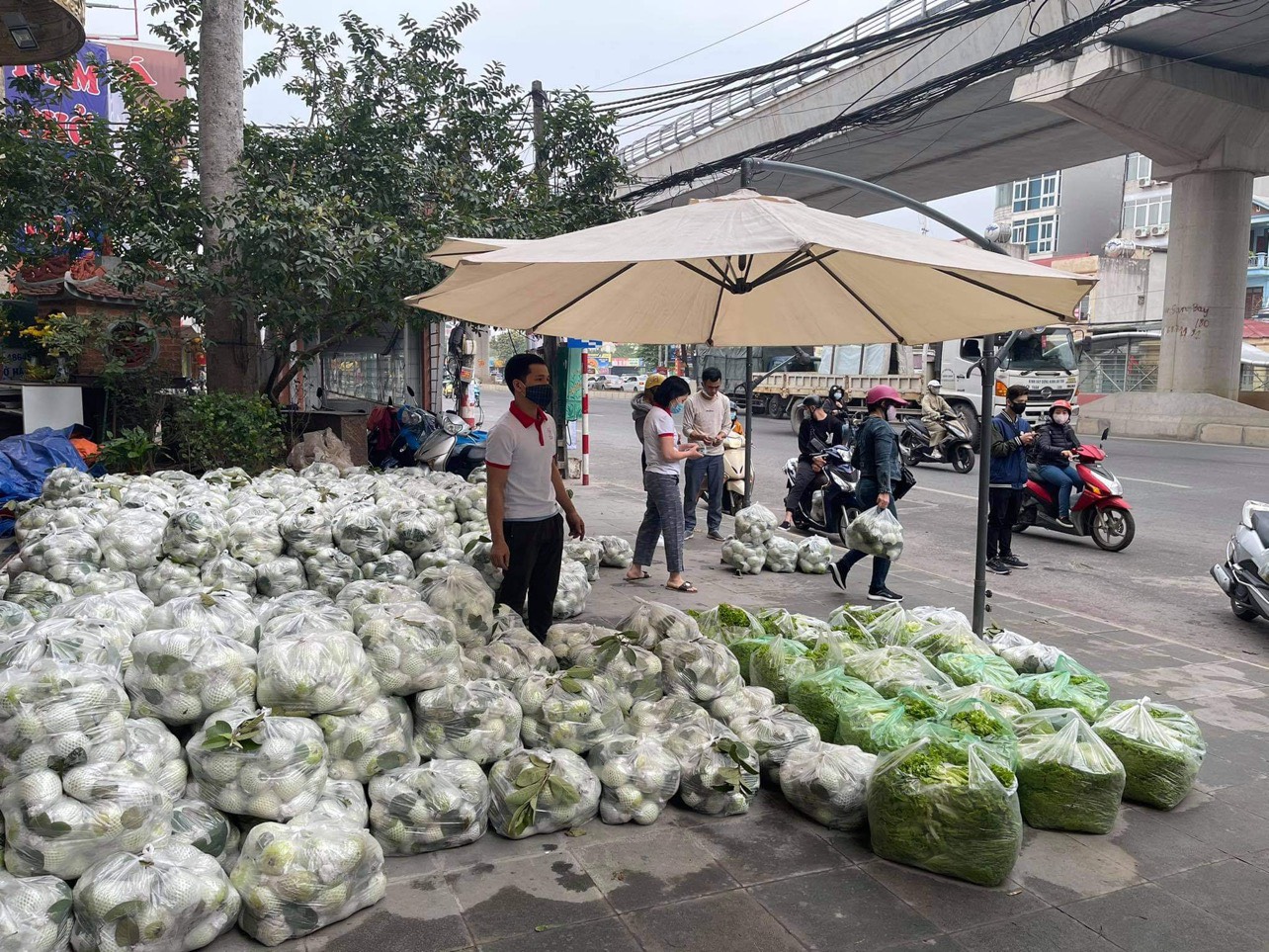 PTCASA Chung tay “giải cứu” nông sản Hải Dương