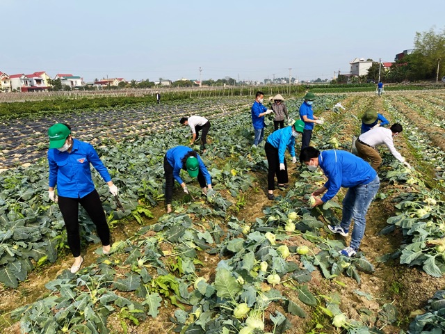 Hải Dương Chung tay hỗ trợ tiêu thụ nông sản cho nông dân