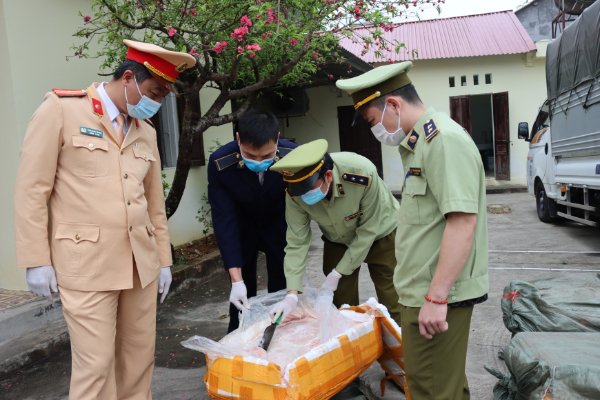 Bắt vụ vận chuyển 2,5 tấn nầm lợn đã biến chất