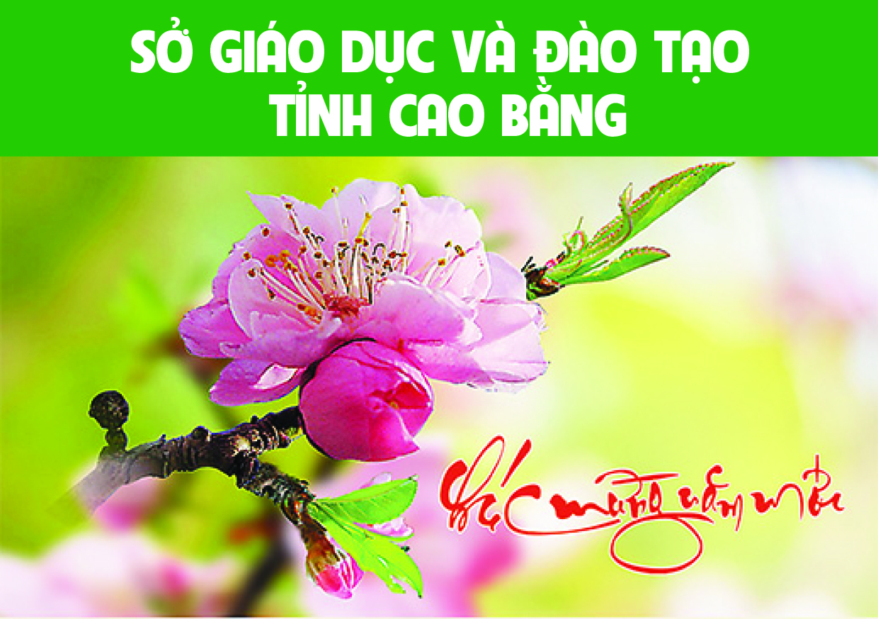 Ngành GD ĐT Cao Bằng gặt hái nhiều thành tích đáng khích lệ trong năm 2020