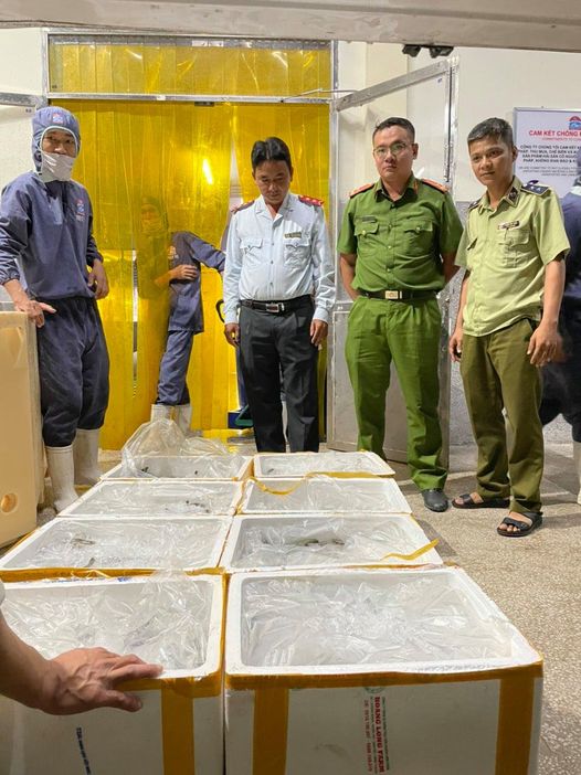 Kiên Giang Phát hiện và xử lý cơ sở kinh doanh tôm chứa tạp chất