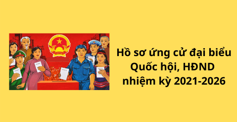 Đồng Tháp 7 522 hồ sơ ứng cử đại biểu Quốc hội, HĐND các cấp