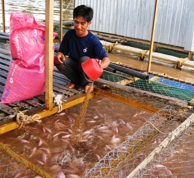 Đẩy mạnh chọn tạo giống cây trồng, vật nuôi thủy sản thích ứng biến đổi khí hậu