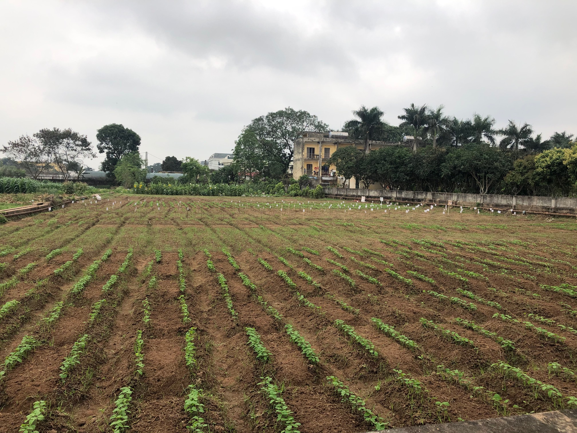 Đến 2025, thuốc sản xuất trong nước đạt 75 số lượng sử dụng