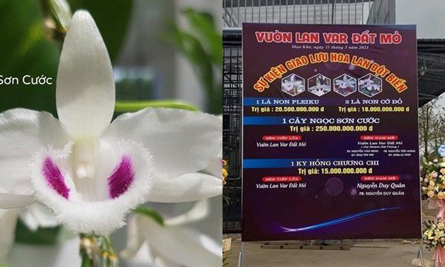 Lan đột biến - Giao dịch thật hay chiêu trò thổi giá