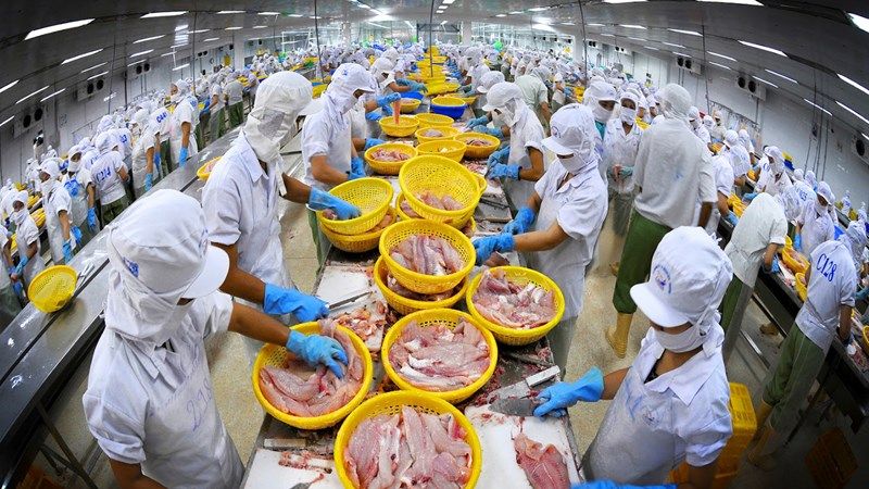 Thị phần thủy sản Việt Nam tại Nhật Bản tăng lên 7