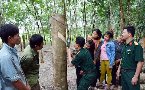 Các trường hợp đất quốc phòng kết hợp xây dựng kinh tế không phải nộp tiền sử dụng đất