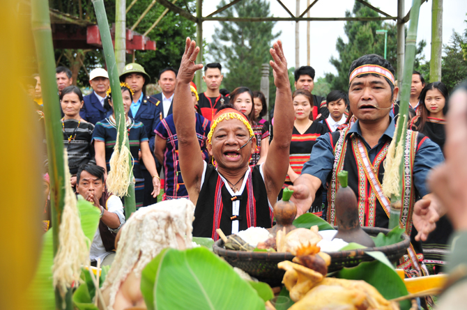 Tây Nguyên mùa trỉa hạt