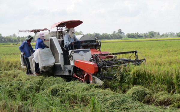 Đa dạng hóa sinh kế và nhân rộng mô hình giảm nghèo