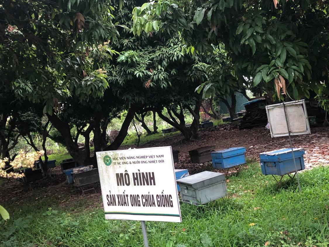 Hình thành tổ chức trung gian thị trường KHCN tại trường đại học