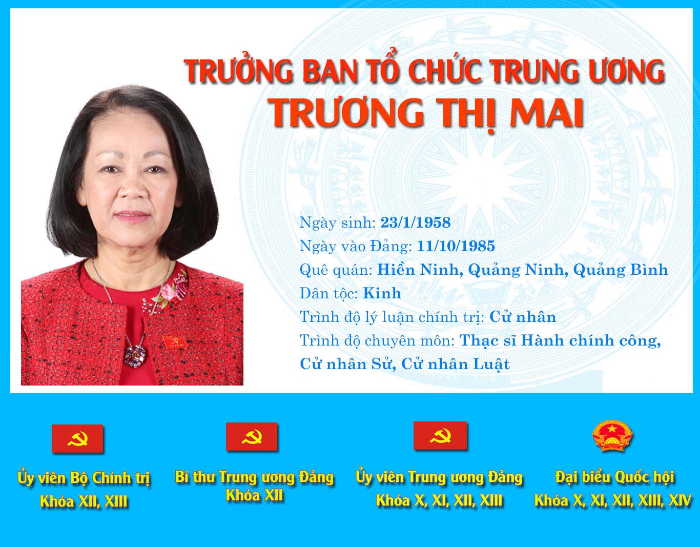 [Infographic] Chân dung tân Trưởng ban Tổ chức Trung ương Trương Thị Mai