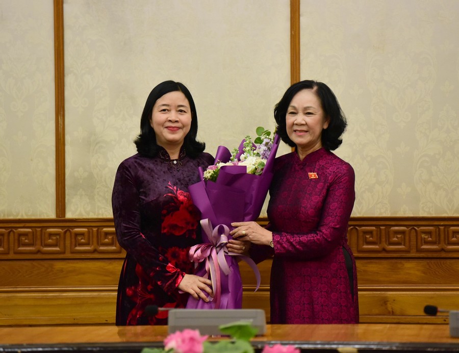 Trao quyết định Trưởng Ban Tổ chức Trung ương và Trưởng Ban Dân vận Trung ương