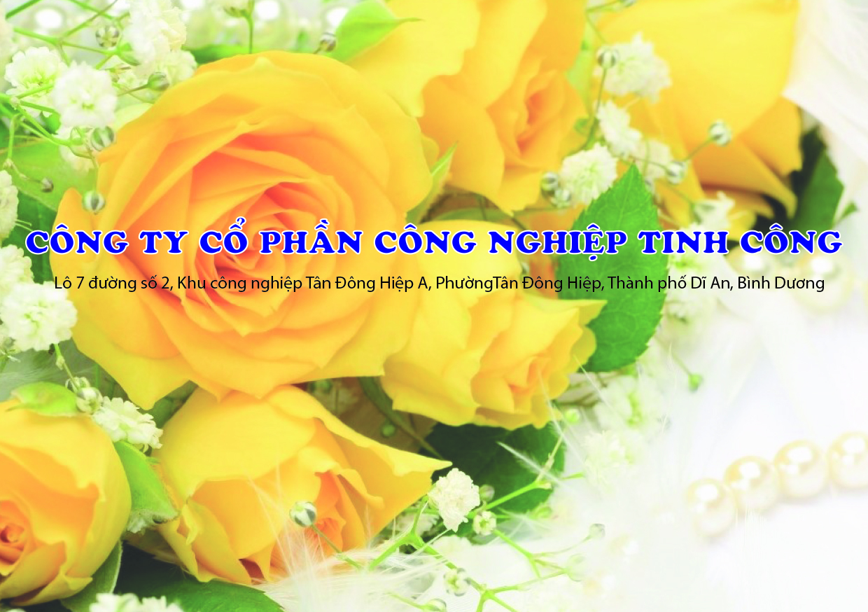 Công ty CP Công nghiệp Tinh Công Không ngừng nâng cao chất lượng