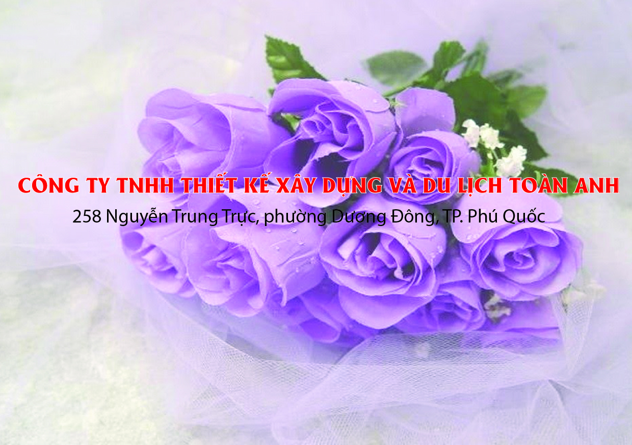 Công ty TNHH Thiết kế Xây dựng và Du lịch Toàn Anh - nơi gửi gắm niềm tin