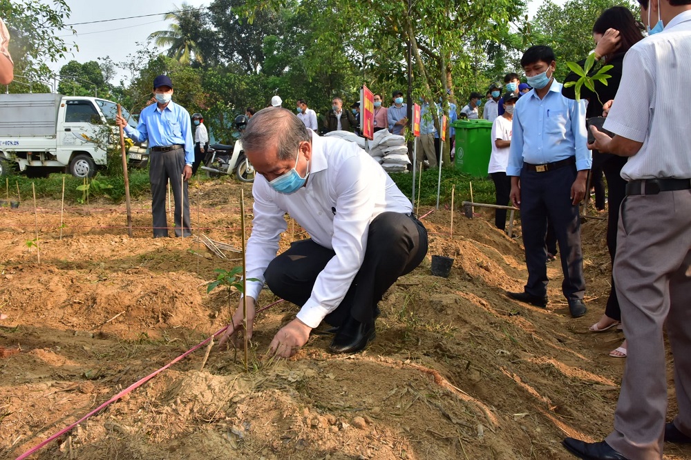 Thừa Thiên Huế Trồng mới ít nhất 7 triệu cây xanh giai đoạn 2021 - 2025