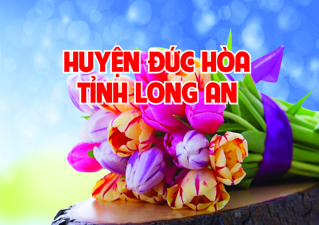 Huyện Đức Hòa Long An  Triển khai thực hiện kế hoạch phát triển kinh tế - xã hội giai đoạn 2021-2025