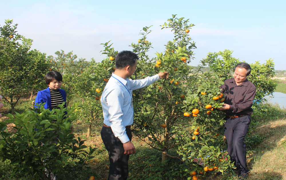 Tân Yên Bắc Giang  Nhân rộng điển hình tiên tiến