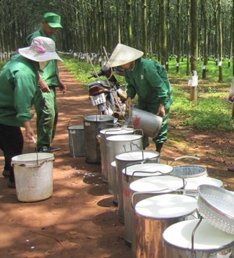 Xuất khẩu cao su tăng rất mạnh trong 3 tháng đầu năm