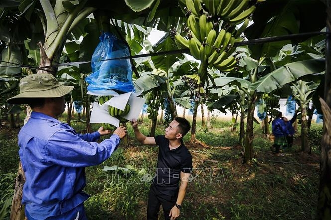 Hòa Bình Thi đua yêu nước góp phần thực hiện thắng lợi các mục tiêu phát triển kinh tế - xã hội